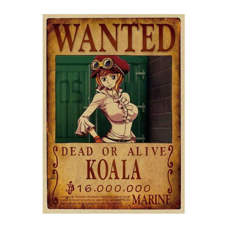 Wanted Koala Search Notice OMS0911